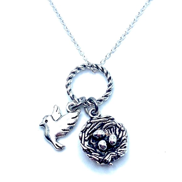Bird Nest Charm Necklace - Picture 1 of 5